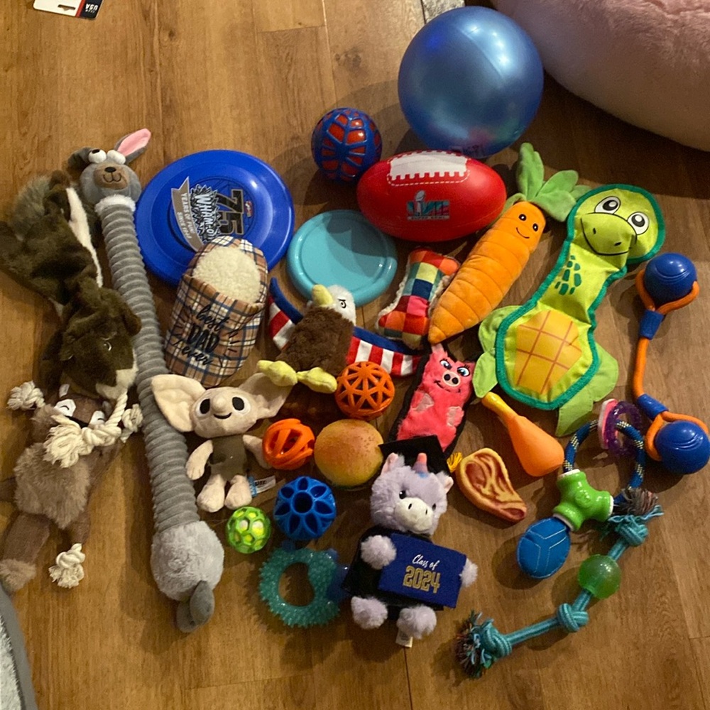 Dog Doy Bundle (27 toys)